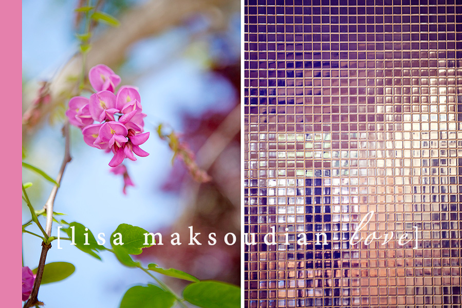 detailsblog chaminade wedding photographer, santa cruz california
