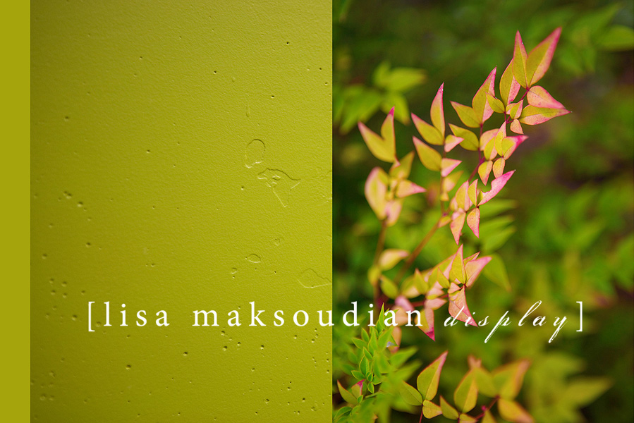 green1 san luis obispo child photographer lisa maksoudian capturing modern kids portraits